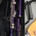Purple C Flute Closed Hole 16 Keys Flute Nickel-Plated for Beginner, Student and Professionals with Carrying case, Metal stand, Gloves, Tuning Rod, Cleaning kit (Purple)