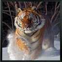 Mxtallup 22x23 Picture Frames Solid Wood Poster Frame for Wall 22x23 Photo Frames Family Black (T22B2223)