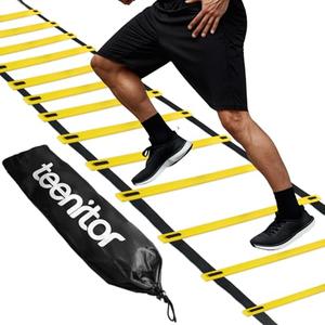 Teenitor 13 Rung Agility Ladder Speed Ladder Training Ladder for Soccer, Speed, Football Fitness Feet Training Carry Bag Agility Training Equipment, Workout Ladder, Sports Agility Ladders