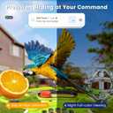 Smart Bird Feeder with Camera, AI Identify Birds Species Solar Powered, 2K HD Video Bird House with Camera, Instant Arrival Alerts, Waterproof Squirrel Proof, Gift for BirdLovers, 2.4GHz WiFi, Green