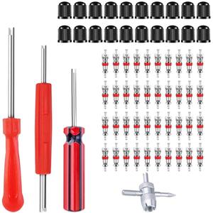 Riseuvo Valve Stem Removal Tool - 40Pcs Valve Cores, 4-Way Valve Tool, Valve Core Remover Tool, Tire Repair Schrader Valve Tool