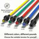20 Pcs Resistance Bands with Handles for Home Workouts, Universal Exercise Bands Set for Physical Therapy & Rehabilitation, Multi-Functional Strength Training & Toning Elastic Bands for Women and Men