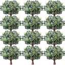 Janinka 100 Pcs Mixed Eucalyptus Leaves Stems Bulk Artificial Eucalyptus Leaves with White Seeds Artificial Silver Dollar Sprays Faux Oval for Floral Wreath Bouquets Wedding Greenery Decoration