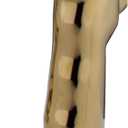 Kingston Brass Gourmetier KBS792SP Kitchen Faucet Sprayer, Polished Brass