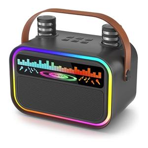 Karaoke Machine for Kids Adults, Portable Bluetooth Speaker with 2 Wireless Mics & Flashing Lights, Toy Gift for Birthday Christmas Girls & Boys Ages 3-12+.