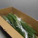 Riceshoot 30 Pcs 18" Christmas Norfolk Pine Stems 10 Pcs 36" Artificial Norfolk Pine Branches Real Touch Xmas Greenery Stem Faux Pine Garland for Vase DIY Crafts Indoor Outdoor Home Decor