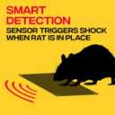 Victor Indoor Electronic Rat Trap, Humane Electric Rat Traps Indoor for Home, No Touch, No See Traps - M241B - Quickly and Humanely Kill Rats Indoors - 1 Pack