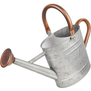 1 Gallon Metal Watering Can with Removable Spout, Nice Galvanized Steel Water Can with Embossed Design for Indoor and Outdoor Plants (Silver)