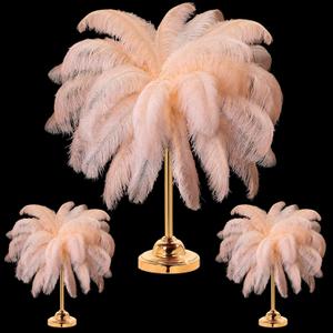 XunYee 60 Pcs Large Natural Ostrich Feathers Plumes Bulk for Centerpiece 18-20 Inch (45-50 Cm) Feathers for DIY Crafts Christmas Wedding Masquerade Party Decorations(Champagne) XunYee 60 Pcs Large Natural Ostrich Feathers Plumes Bulk for Centerpiece 18-20 Inch (45-50 Cm) Feathers for DIY Crafts Christmas Wedding Masquerade Party Decorations(Champagne)