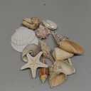 JQAQJU Sea Shells for Decorating 15PCS Large Seashells Starfish Conch for Beach Party,Vase Fillers, Table Scatters, Home Decor, DIY Crafts, Bathroom, Fish Tank Decorations