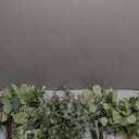 130 Pcs Artificial Mixed Eucalyptus Stems Bulk, 5 Kinds of Faux Greenery Eucalyptus Leaves Bulk for Vase Wedding DIY Bouquets Floral Arrangement Home Decor (130, Green)