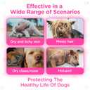 All Itch and Immunity Treats for Dogs with Salmon Oil, Omega 3 & Probiotics Dog Itchy Skin Relief Chews, Anti Itch & Allergy Relief, Scratching & Seasonal Allergies (120 Count), BB Date 17/07/2027