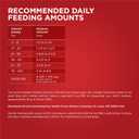 Purina ONE Dry Dog Food Lamb and Rice Formula - 8 lb. Bag (EXP 02/01/27)