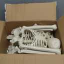 LUKBERA 2 Pack 3 ft Halloween Skeleton Posable, 36 Full Body Human Skeleton with Movable Joints for Halloween Haunted House Graveyard Party Scary Indoor Outdoor Decor