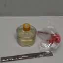 COCODOR Christmas Reed Diffuser Set / 6.7oz / Snow Fig/Holiday Scented Oil with Sticks, Festive Home Fragrance Gift for Xmas & Winter Dcor (Real Flower/6.7Ounce/1Pack)