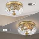 Darkaway Ceiling Light Fixtures Flush Mount Indoor Outdoor Ceiling Light with Water Ripple Glass Shade for Hallway Kitchen Bedroom Porch Living Room Gold Finish, 11inch