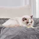 Qeils 1 Pack 2 Dog Blankets for Small Dogs - 2 pcs Waterproof Dog Blanket Washable - Soft Sherpa Fleece Puppy Blanket for Kitten Doggy, Warm Cat Blankets for Indoor Cats, 25"X30", Grey