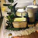 FANTIAN 5 lbs White Pebbles for Indoor Plants, 0.5-1 Inch Pea Gravel Stones for Planters, Decorative River Rocks for Succulent, Cactus, Vases, Aquariums, Crafting and Garden Landscaping