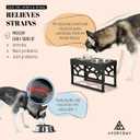 AVERYDAY Elevated Dog Bowls, 4 Height Adjustable Stand for Medium and Large Dogs, Raised Dog Feeder Holder with 2 Stainless Steel Food and Water Bowls, Anti-Slip Base Tall Feeding Station