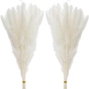 60 Pcs White Pampas Grass ,17 inch/45 cm Natural Dried Pampas Grass Branches Decor for Home Kitchen Garden Party Photographing Flower Arrangement Vase DecorWhite