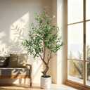 Faux Olive Tree 5ft with White Pot - Artificial Olive Tree with Lifelike Leaves & Fruits, Fake Plant Indoor for Home Decor, Living Room, Office - Silk Leaves, Sturdy Trunk, No Maintenance