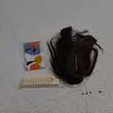 isheeny Hair Toppers For Women Real Human Hair Dark Brown 8Inch for Women 2 Clips Secure Hold, Realistic Artificial-Base Scalp for Thinning & Loss Hair