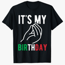 It's My Birthday Party Italia Italy Funny Italian Birthday T-Shirt Size 2T Kids sized