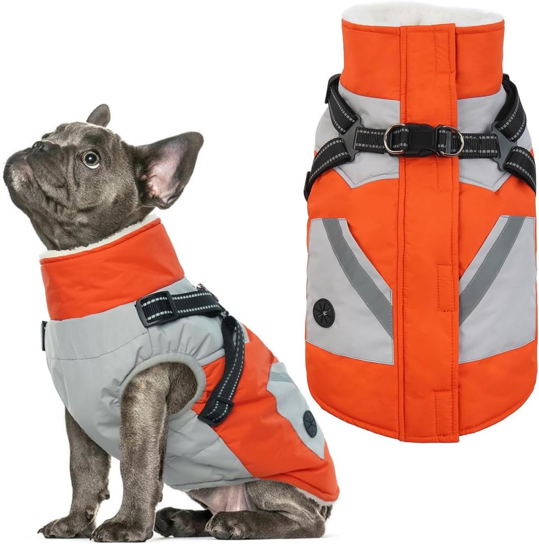 IECOii Dog Winter Coat Waterproof - Orange, Medium - Dog Coat with Harness Built in for Medium Dogs, Thermal Warm Fleece Lined with Zip Up Cold Weather Jacket,Reflective Snowsuit for Outdoor Hiking (Medium(Chest:20.9 in))