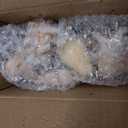 TaoQ C 24 PCS Large Sea Shells Mixed Ocean Seashells Starfish Conch Various Sizes Natural Seashells for Fish Tank Beach Themed Party Home Bathroom Wedding Decorations DIY Crafts