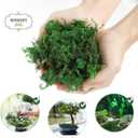2 x DECHOUS Fake Moss: Artificial Preserved Moss for Plants Bonsai Crafts Fausse Mousse for Terrarium Plant Pot (About 20G)