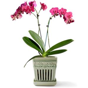 Orchid Pots with Holes | 5" Ceramic Orchid Planter with Separate Saucer and Drainage Holes | Glazed Pottery Small Flower Pot for Repotting Orchids(Green) (Square)