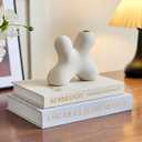 LMGOV Aesthetic Linen Decorative Fake/Faux Books for Coffee Table, Set of 2 Storage Boxs for Living Room, Morden Home Decor for Shelf, Bookshelf, Entryway, Nightstand, Mantle(Sky Blue)