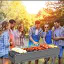 Portable Charcoal Grills, Stainless Steel BBQ Grill with Foldable Stand Adjustable Air Vents, Kebab Skewer BBQ Barbecue Grill Kit for Garden Backyard Party Picnic Travel Outdoor Use (31.6x7.1inch)