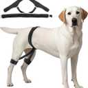 VEVOR Dog Hip Support Brace, Breathable & Durable Support Brace for Dogs Hip, Pet Hind Leg Braces for Dogs, Pain Relief, Dog HIPS Harness with Reflective Trim for Recovery, Size XL