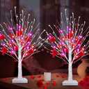 Valentines Day Decorations, Prelit Timer 2Pack Lighted Birches Valentines Tree with 12 Heart-Shaped 48 Red Berries, Battery Operated Artificial Tree 24 Red&Pink Lights Home Table Valentines Day Decor