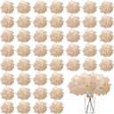 100PCS Artificial Hydrangea Flowers, Fake Flowers Silk Hydrangea Full Flowers Heads with Stems for Wedding Home Party Shop Baby Shower Decor (Apricot)