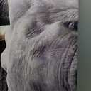 Elephant - Life Size Cardboard Cutout Standup People with Support Standee | Animals -