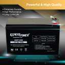ExpertPower 12v 9ah Sealed Lead Acid Battery with F2 Terminals (.250")