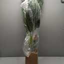 Nearly Natural 4ft. Golden Cane Palm Artificial Tree