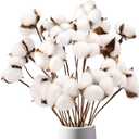 DomeStar Cotton Stems 8 Packs with 15 Bolls, Natural Dried Flowers Cotton Sprigs for Vase Fillers and Floral Arrangements - Fall Decorations and DIY Crafts
