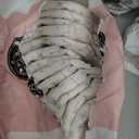 LILLYDOO Baby Diapers - Size 1 (4-11 lbs), Monthly Supply (144 Count), Leak Protection, Skin-Friendly, Ultrasoft, Perfume- & Chlorine-Free, Hypoallergenic, Dermatologist Tested, Oeko-TEX