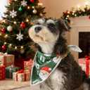 2 x Christmas Dog Bandanas,Reflective Dog Bandana for Night Safety,Adjustable Santa Claus Dog Scarf Triangle Boy and Girl Pet Scarves for Medium Dogs,Green,M