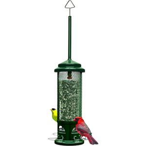 Squirrel Buster Legacy Squirrel-Proof Bird Feeder for Wild Birds – 4 Metal Removable Perches, 2.6 lb Seed Capacity, Chew-Proof Design, Easy to Clean, Green