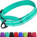 CollarDirect Martingale Dog Collar Heavy Duty Nylon Slip Collars for Dogs [Nylon, Reflective, Mint Green, M, 13"-18"]