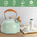 Tea Kettle Stovetop, 2.6 Quart cute teapot,loud whistle kettle, Food Grade Stainless Steel with Fold wood grain handle, Mint Green,With Anti Scald Towel