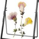 Glass Pressed Flower Frame Handmade, Floating Picture Frames for Pressed Flowers, Tabletop Artwork Photo Frames, Brass Desk Picture Frame for Home Office Plant Specimen, Black, 4x6 Inches (4L" x 6W")