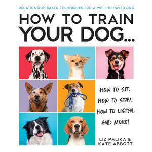How to Train Your Dog: A Relationship-Based Approach for a Well-Behaved Dog