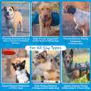 Replenish Dog Recovery Water Supplement  Pedialyte for Dogs Hydration Drink & Water Additive - Electrolytes for Dogs Hydration Supplement  10 Packets Count