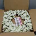 Summer Wreath for Front Door, 24 Inch White Cream Forsythia Summer Spring Wreath Blossom Cluster Flower Farmhouse on Grapevine for Christmas Festival Celebration Front Door Wall Window Hanging Décor