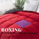 Cosybay Down Alternative Comforter (Red/Black, Queen) - All Season Soft Quilted Queen Size Bed Comforter - Duvet Insert with Corner Tabs -Winter Summer Warm Fluffy, 88x92inches